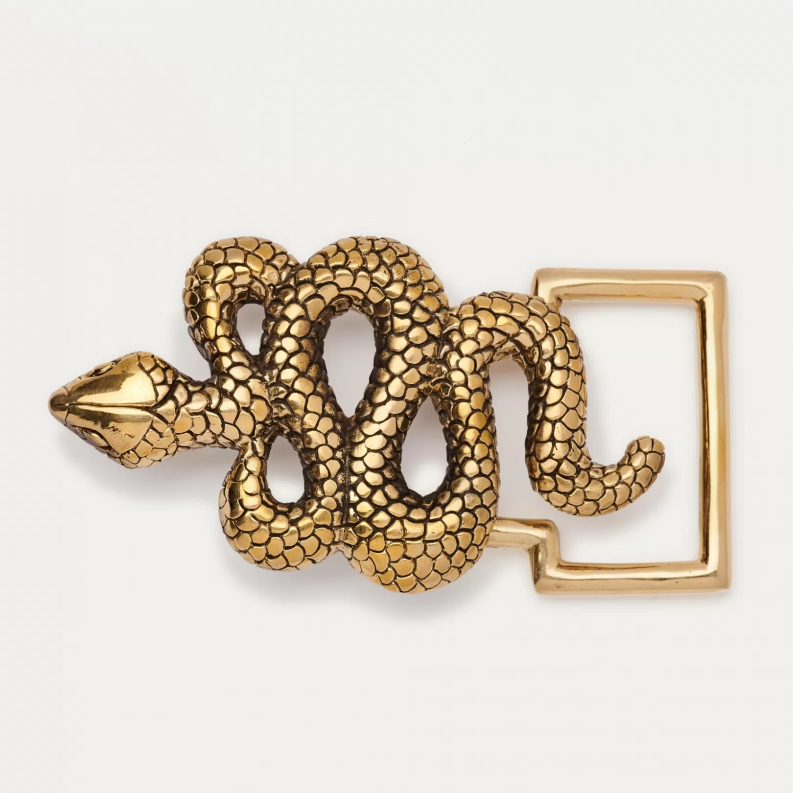 Claris Virot Belt Buckle-Belt Buckle Gold Snake