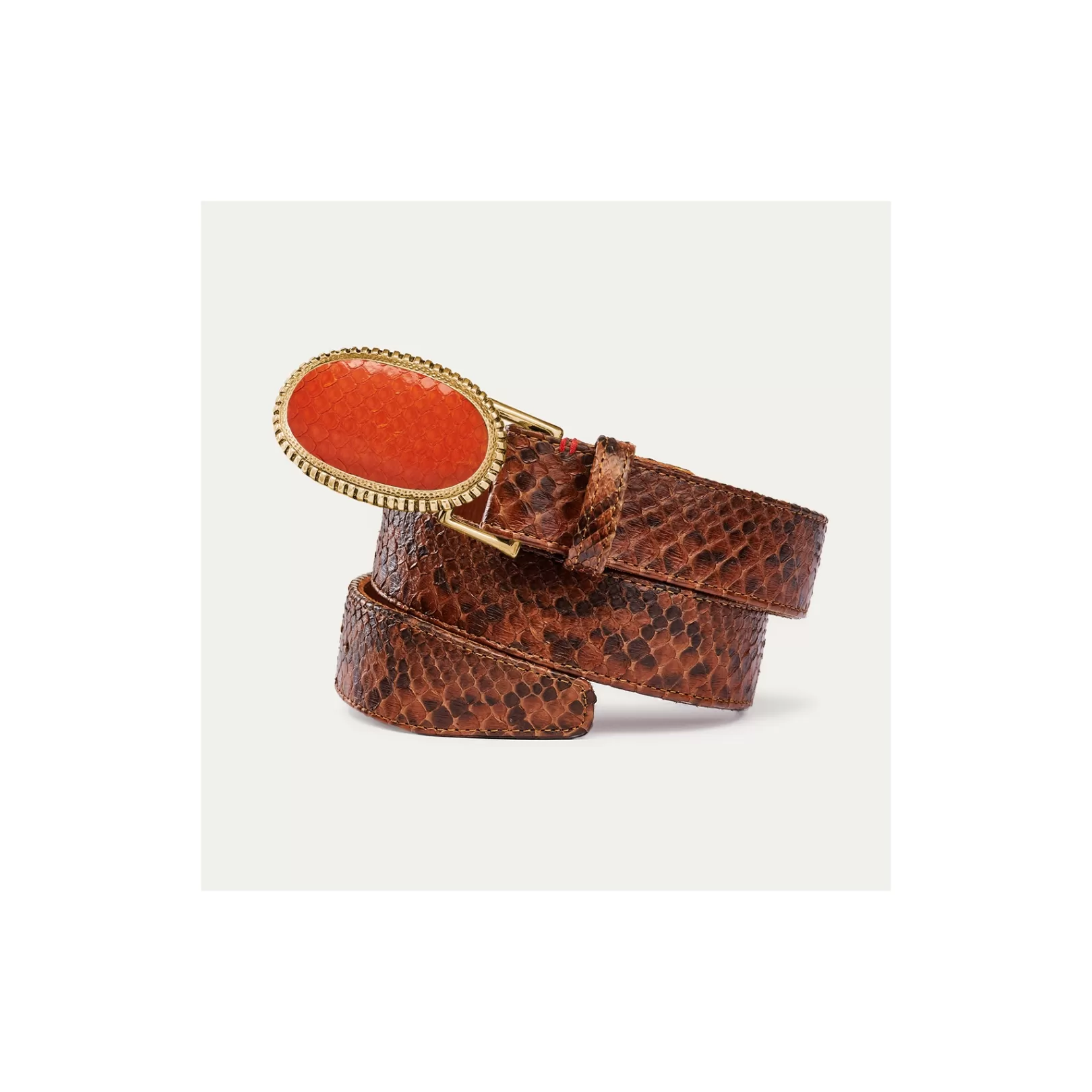 Claris Virot Dallas Belt-Dallas Belt Moka Python Orange Buckle