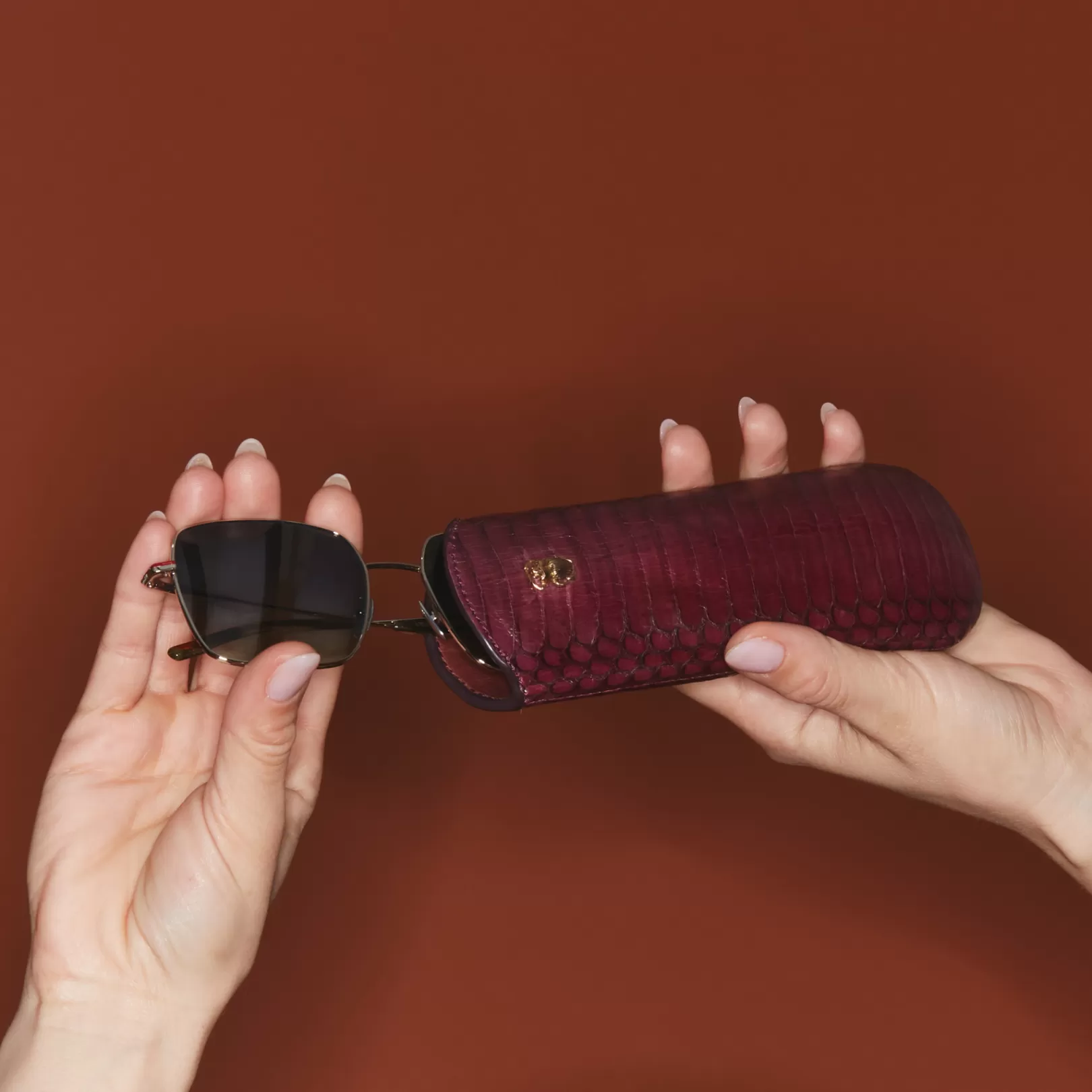 Claris Virot Sunglasses Case-Maya Case Hot Wine Cobra