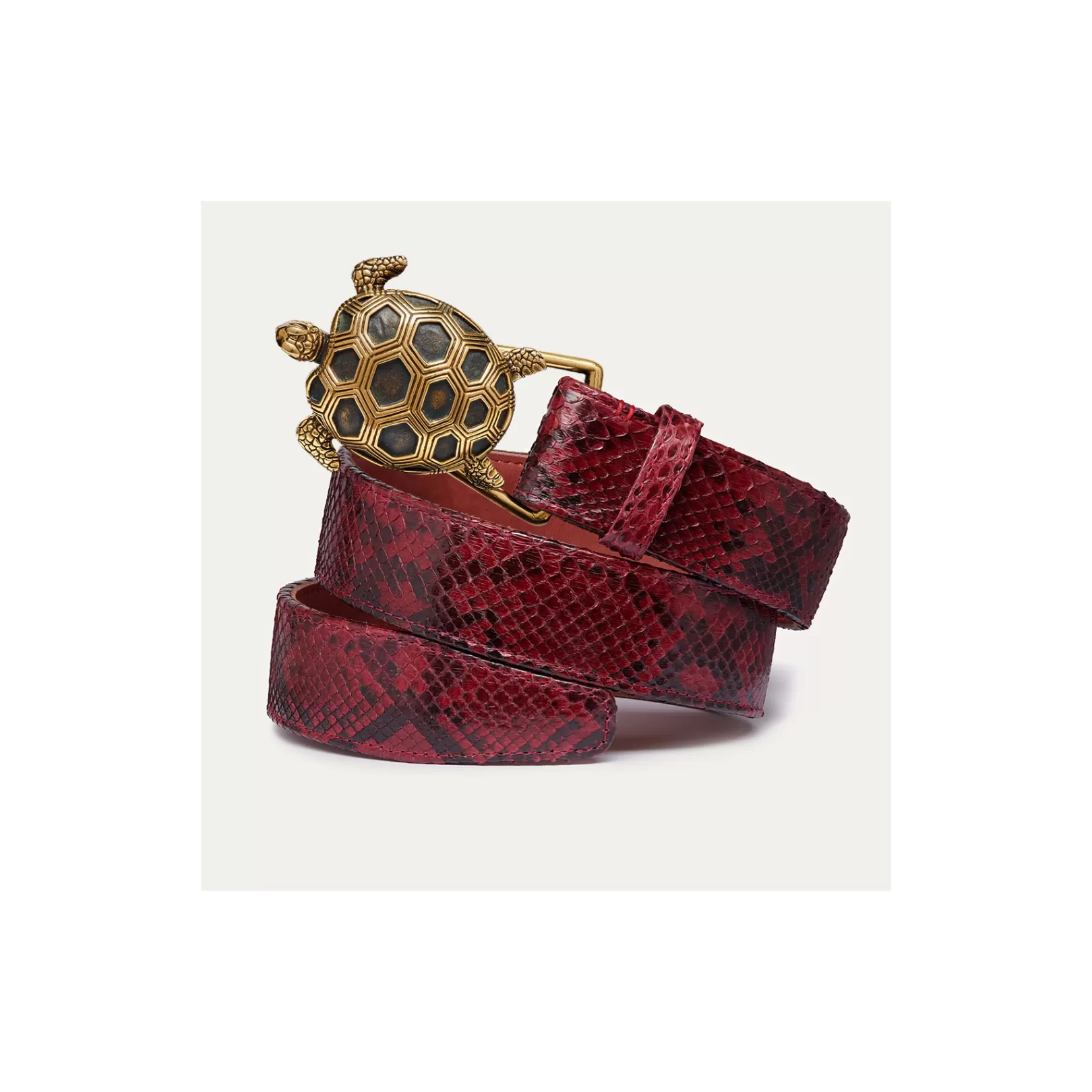 Claris Virot Turtle Belt-Turtle Belt Burgundy Python