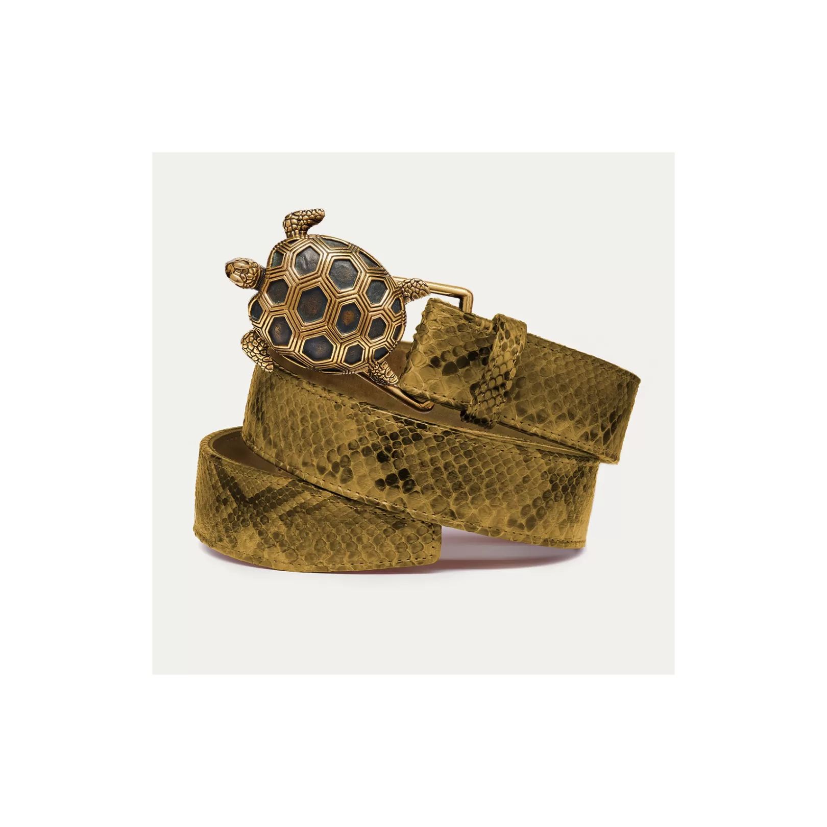 Claris Virot Turtle Belt-Turtle Belt Kaki Python Gold Buckle