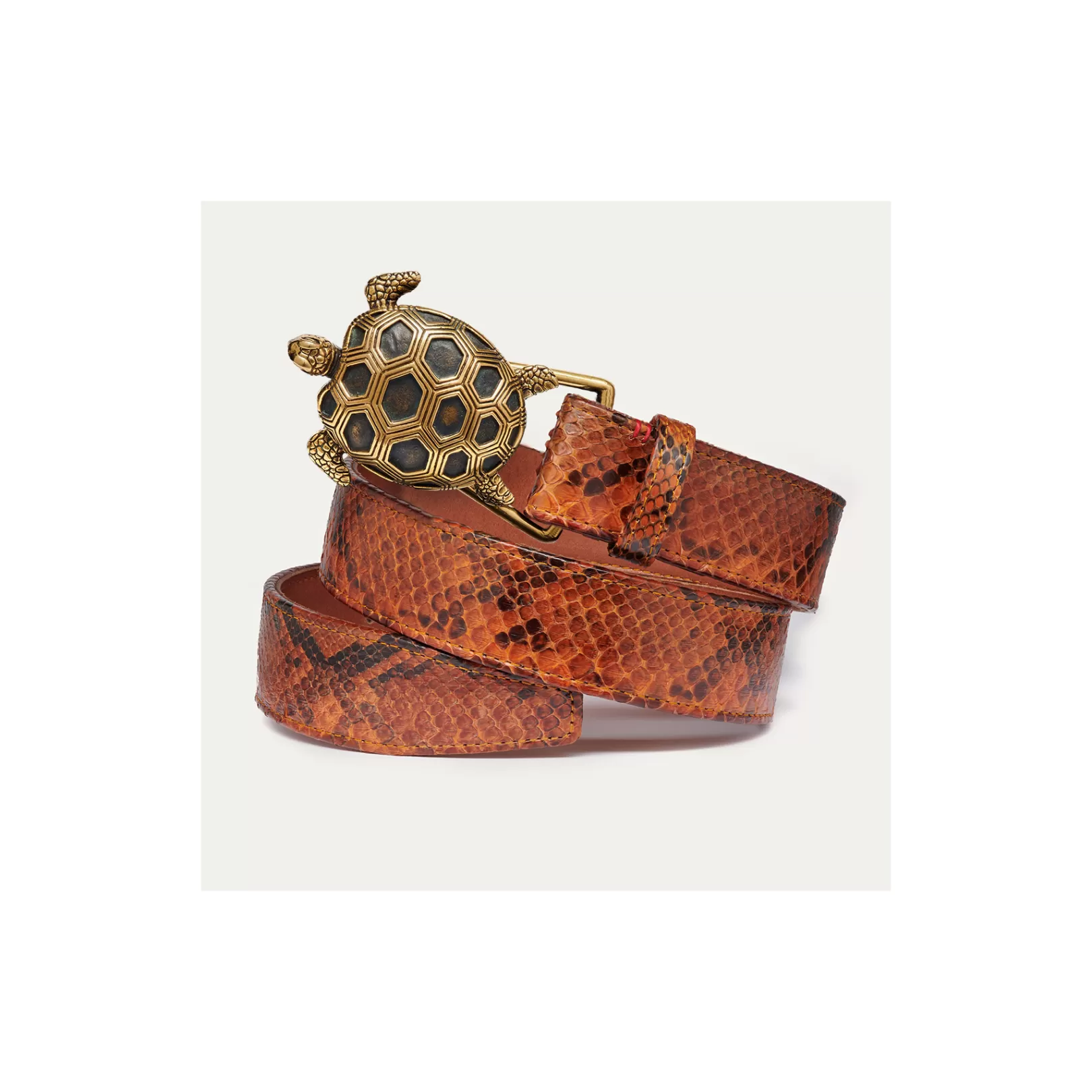 Claris Virot Turtle Belt-Turtle Belt Moka Python Gold Buckle